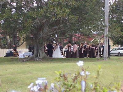 wedding under tree