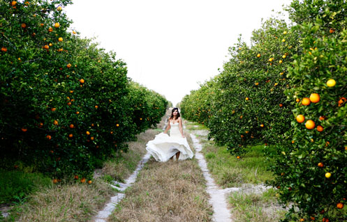 orange-grove-bridal-shoot012