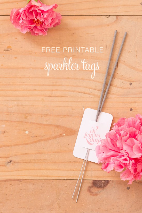 Akimbo free printable sparkler tags