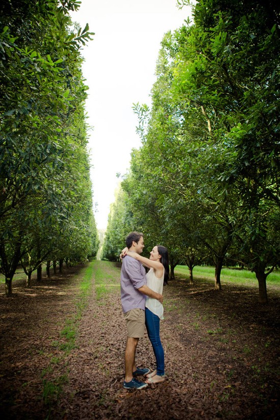Macadamia Orchard Engagement0013