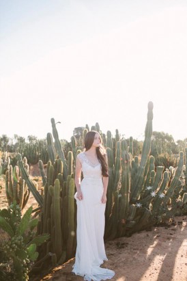 cactus garden wedding idea