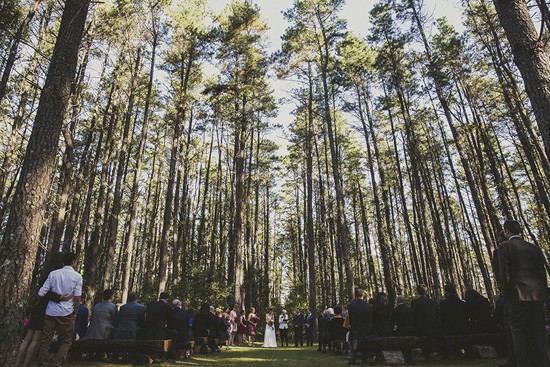 pine forest wedding0055