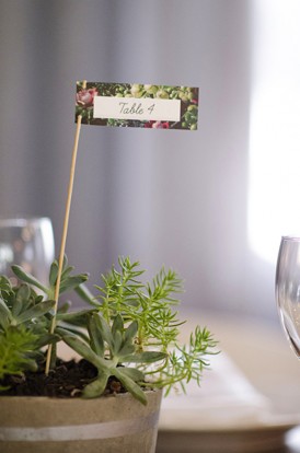 plant table numbers