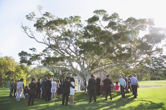 wedding ceremony under tree