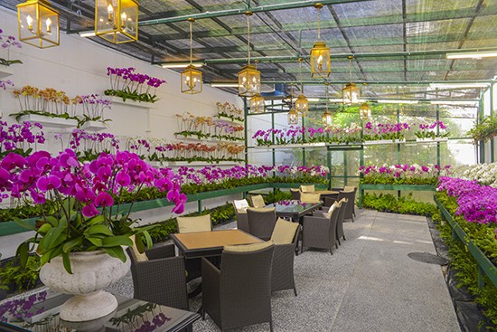 Majestic Kl Orchid Room