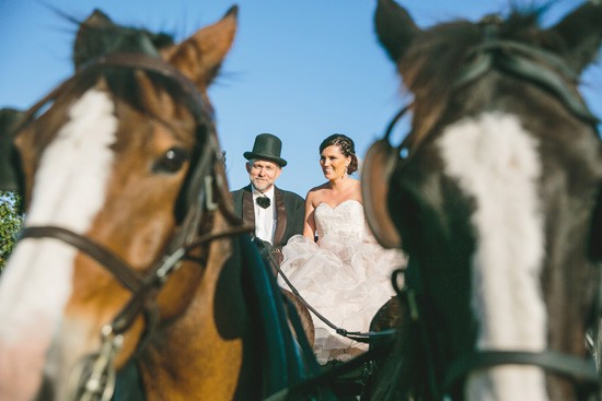 Bride on horse and carriage