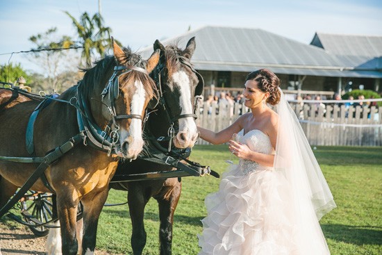 Bride with horses at Yandina station