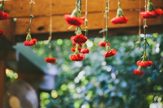 Red hanging flowers