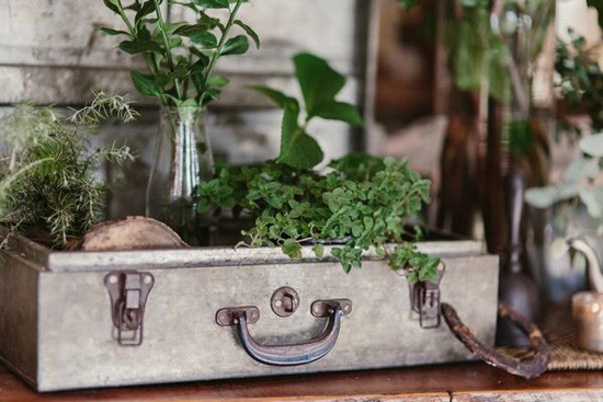 Metal suitcase with plants at wedding