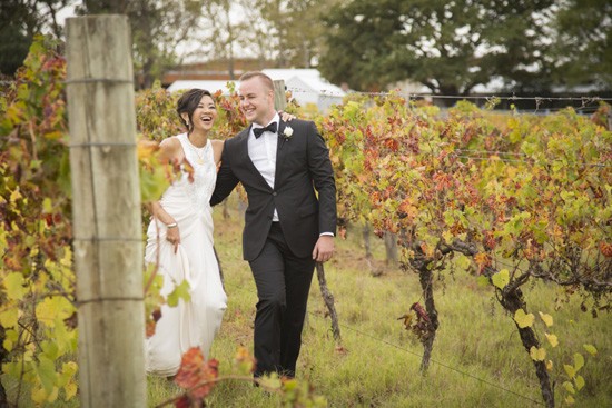 Wedding photo in vineyards