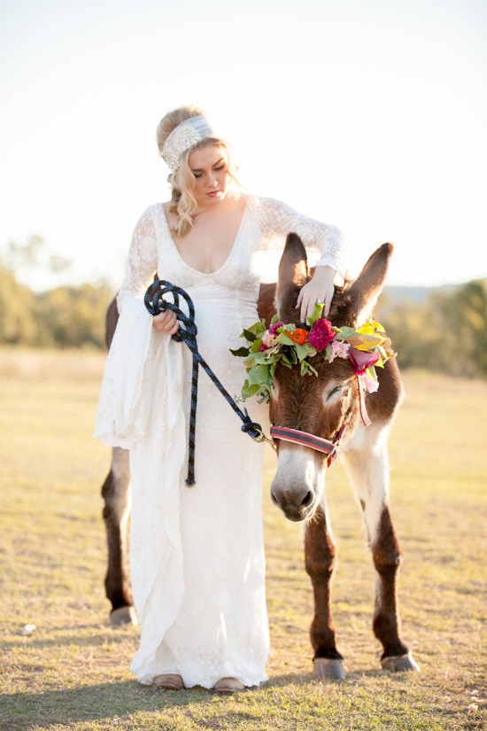 Bride and donkey