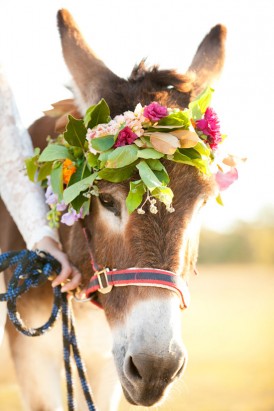 Donkey with flower crown