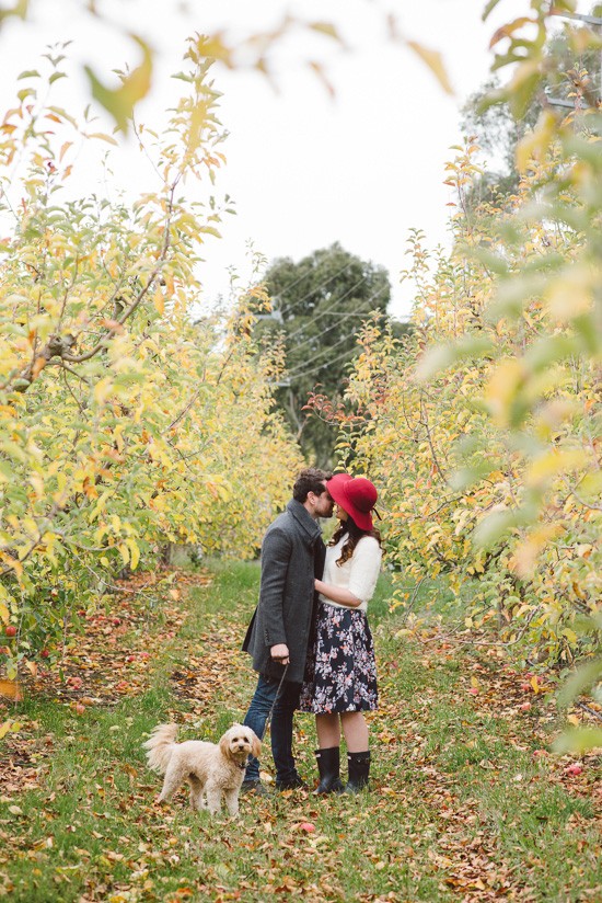 Adelaide Hills Orchard Engagement001