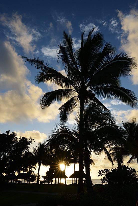 Fiji Sunset Photo