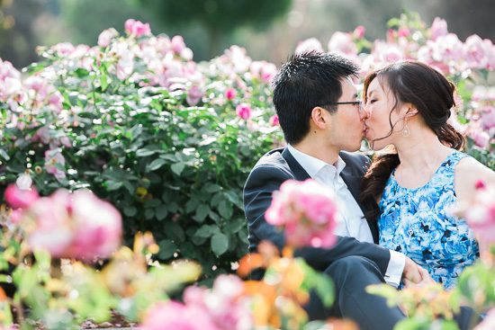 Romantic Rose Garden Engagement20160512_0130