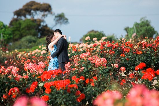 Romantic Rose Garden Engagement20160512_0139