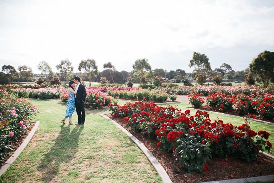 Romantic Rose Garden Engagement20160512_0144