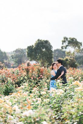 Romantic Rose Garden Engagement20160512_0148