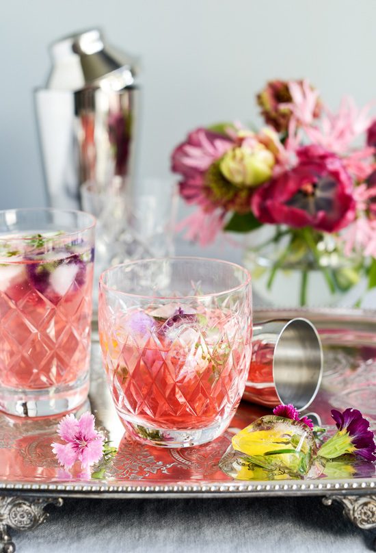 Rhubarb Raspberry and Rosehip Cocktail