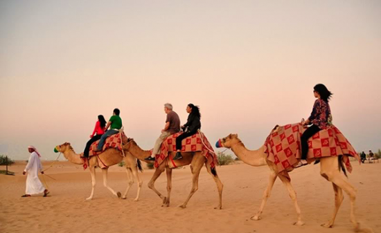 honeymoon-dubai-camel-ride-Dubai-desert