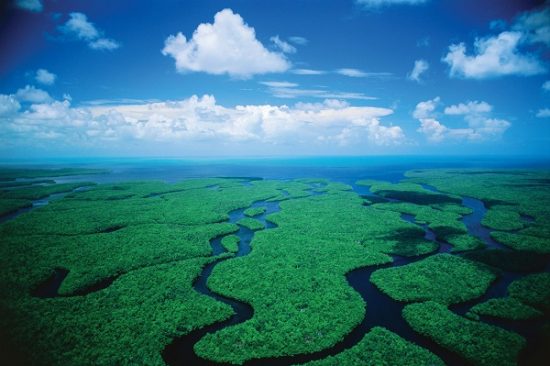 Everglades-National-Park
