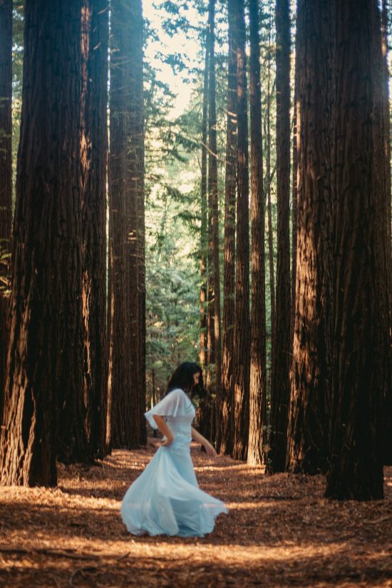 Redwood engagement photos